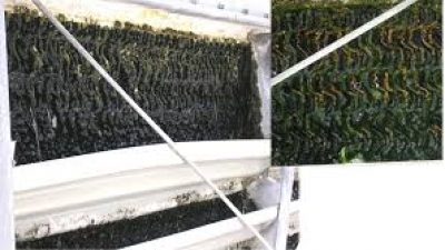 Bakım ve Temizlik İhtiyacınızı Azaltın