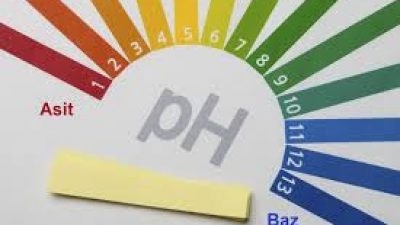 Flokim 1010; pH Regulator