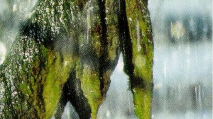 Arvalin 2500; Soğutma Sistemleri İçin Biosit