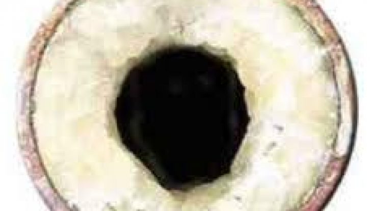 Yakıt Tasarrufu Sağlayın